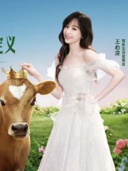 点击看大图 -MuseMarry婚纱(前海嘉里中心店)
