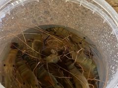 -DGE季风钓虾营地·团建·聚会