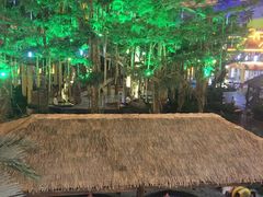 餐饮设施-沈阳龙润夏宫温泉水乐园