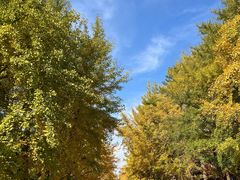 -辽宁大学(崇山校区)