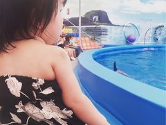 -尼莫海豚馆