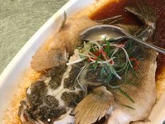 清蒸笋壳鱼-博多新记·粤菜(复兴店)