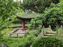 -上海美兆健康医疗体检中心(古北店)
