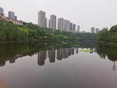-重庆彩云湖湿地公园
