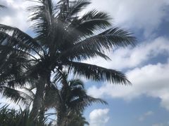 -白沙门生态公园