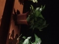 -W20 SHINING Party·K(悦豪和平路店)