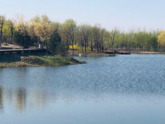 -东郊湿地公园