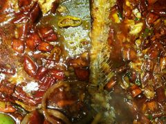 -鱼库·不仅是一家烤鱼店(车公庙店)