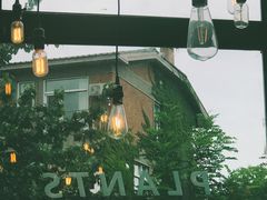 -北马山庄植趣咖啡