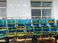 -正亮农家院·海鲜本地菜