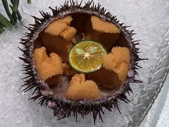 -日月昇渔家菜·海肠捞饭·大连海鲜(星海公园店)