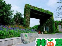 -华侨城湿地公园