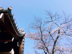 -醍醐寺