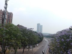 -龙头寺公园