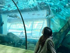 -福州罗源湾海洋世界旅游区