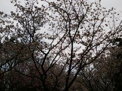 -吃不亏特色包子(三峡广场店)
