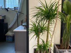 -花仓咖啡(祥安巷店)