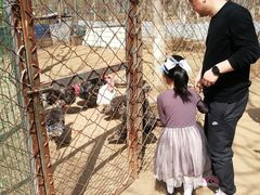 -草根堂农场