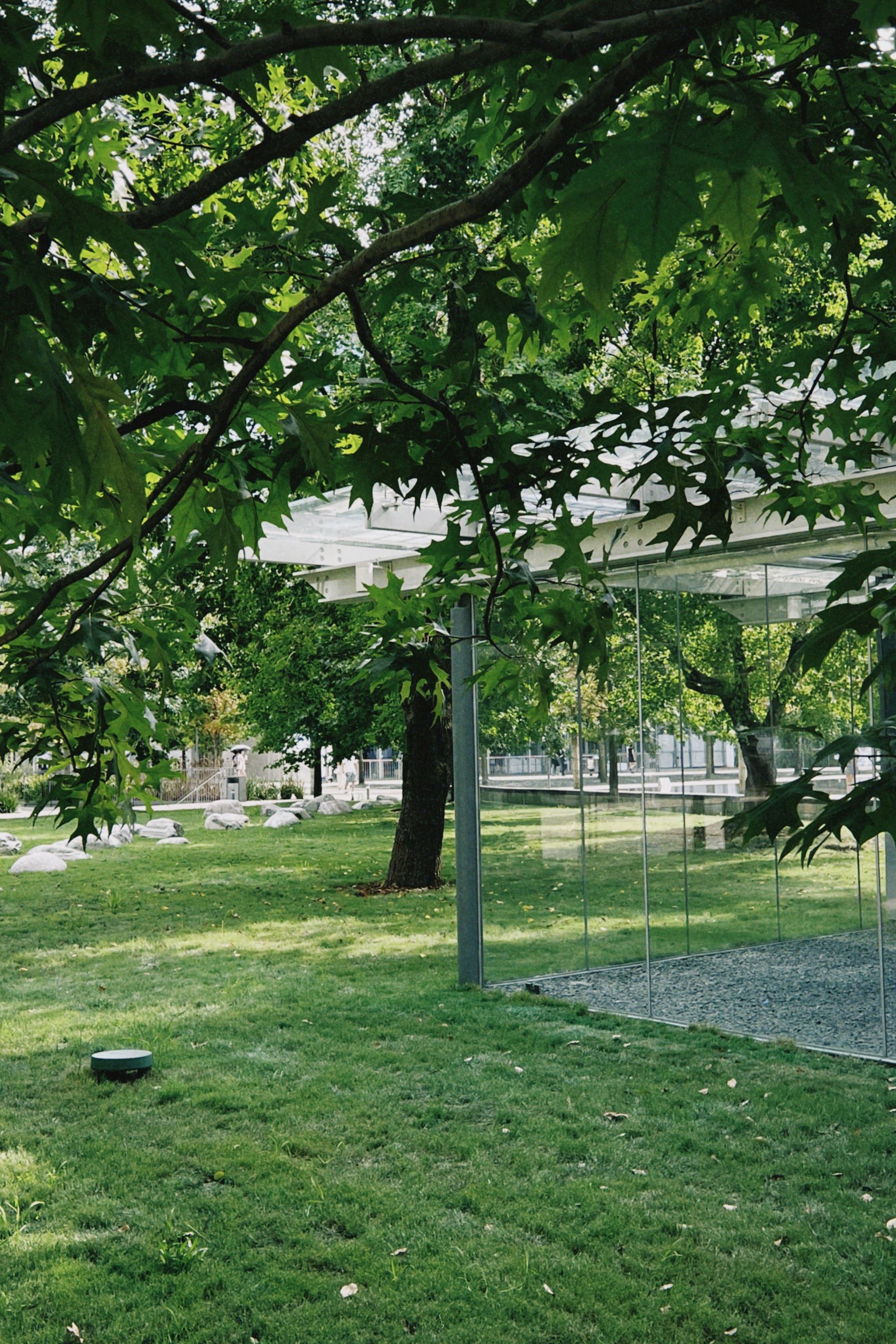 闲逛在夏日绿荫|喜欢天目里的绿