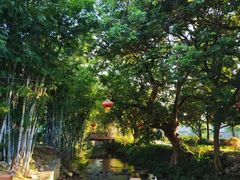 -林丰温泉度假山庄