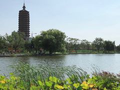 -西海子公园