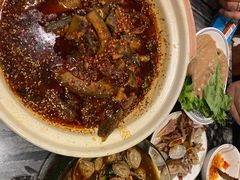 情妹耙泥鳅-情妹耙泥鳅·江湖川菜(科华店)
