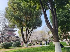 -堤角公园
