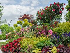 -上海共青森林公园