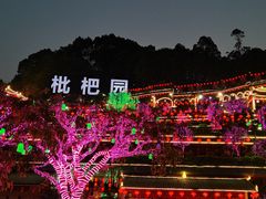 -枇杷园食为鲜火锅(南山店)