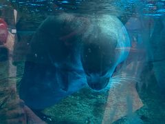 -海合安成都极地海洋公园