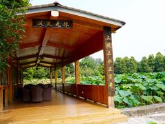 -建华生态湿地百荷园