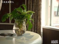 DSC06338-东瀛国际造型