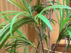 -福客麻辣烫·现炒麻辣香锅(印力中心店)