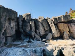 -上海野生动物园老虎餐厅
