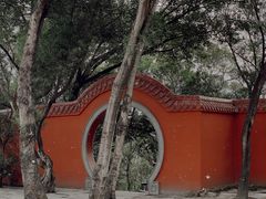 -金鸡山公园