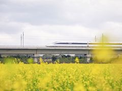 -光明小镇欢乐田园