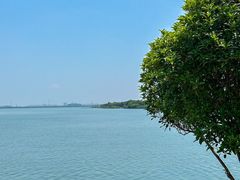 -蟹天蟹地农家菜·阳澄湖大闸蟹(浅水湾店)