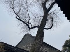 -个园