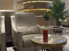 -南航明珠v2头等舱公务舱休息室