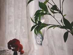 -糖房咖啡(南锣鼓巷店)