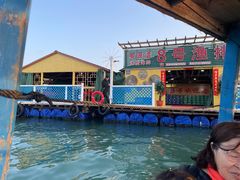 -罗源湾8号渔排