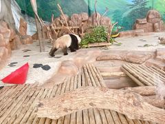 -南宁市动物园