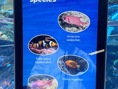 -西雅图水族馆
