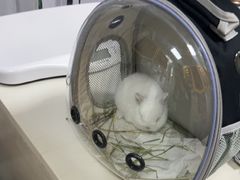 -美美宠物诊疗中心·异宠·骨科(滨江东信分院)
