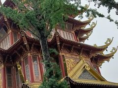 -龙潭水乡