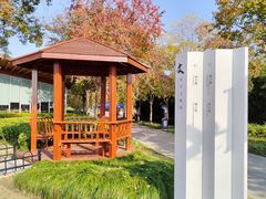 -上海山野camping·户外天幕烧烤·团建拓展营地