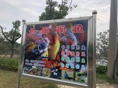 -八大山人梅湖景区