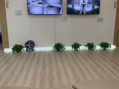 -中央芭蕾舞团·中芭艺蕾(酒仙桥明星校区)