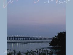 -宝安西湾红树林湿地公园