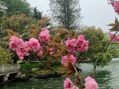 -浙江西子宾馆·瑶园咖啡厅